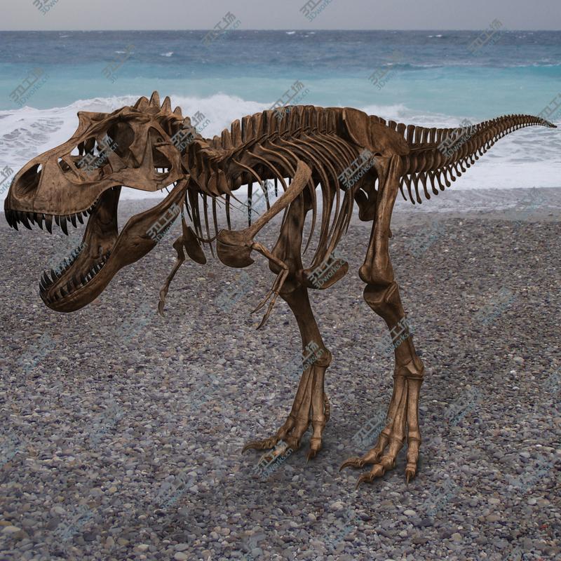 images/goods_img/202105071/T-rex Skeleton/1.jpg
